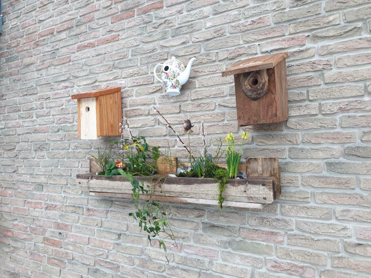 Ferienwohnung Vogelvilla Altenbeken Eksteriør bilde